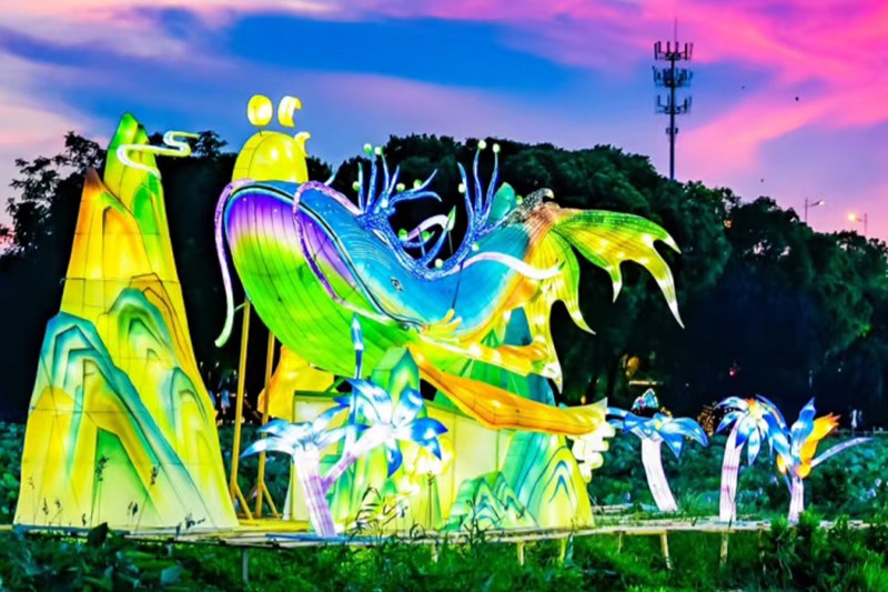 荷塘奇妙夜灯会